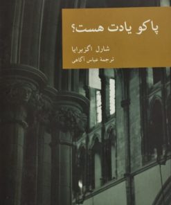 پاکو یادت هست؟ | شارل اگزبرایا