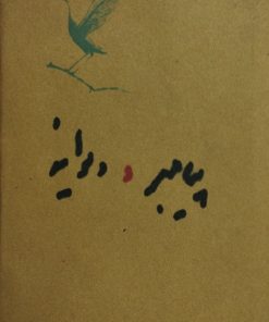 پیامبر و دیوانه
