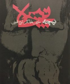 نیچه