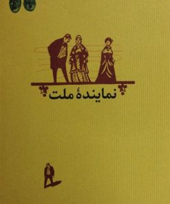 نماینده دولت