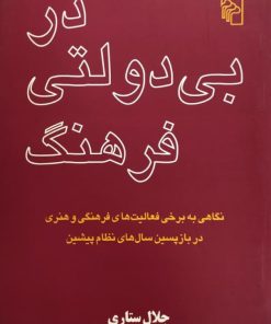 در بی دولتی فرهنگ