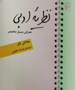 نظریه ادبی
