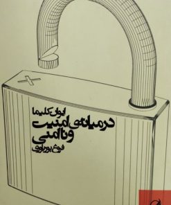 در میانه امنیت و ناامنی