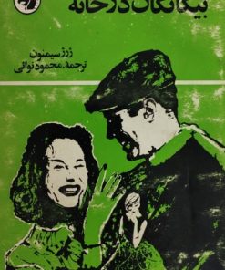 بیگانگان در خانه
