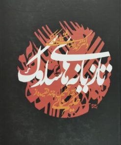 تازیانه های سلوک