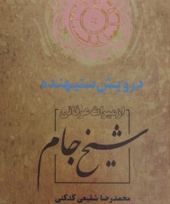 درویش ستیهنده از میراث عرفانی شیخ جام