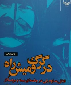 در گرگ و میش راه
