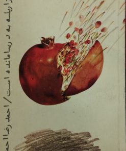 هزار پله به دریا مانده است | احمدرضا احمدی
