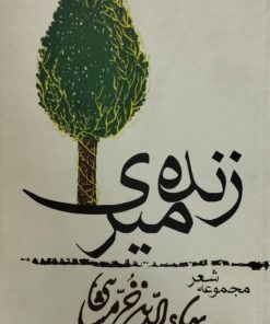 زنده میری | بهاءالدین خرمشاهی