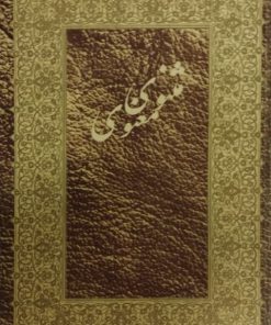 مثنوی معنوی | نسخه‌ی نیکلسون