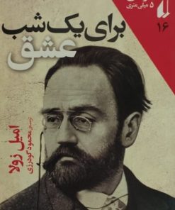 برای یک شب عشق
