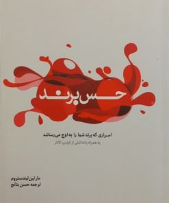 حس برند | مارتین لیندستروم