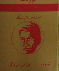 موریانه