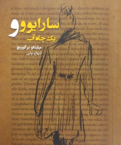سارایوو و یک چاه آب | میلینکو یرگوویچ