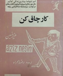 کار چاق کن | عزیز نسین