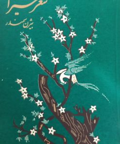 شعر شیراز | بیژن سمندر