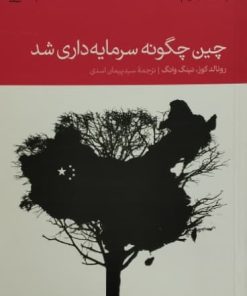 چین چگونه سرمایه داری شد | رونالد کوز و نینگ وانگ