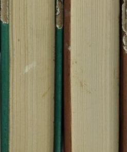 زمین نوآباد | میخائیل شولوخف