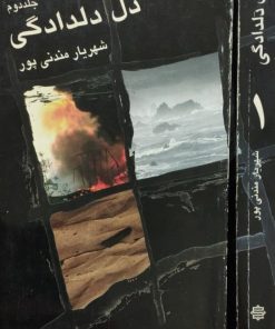 دل دلدادگی نوشته شهریار مندنی پور