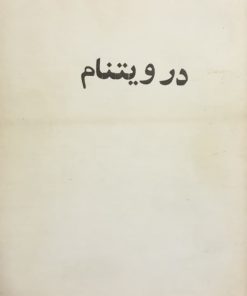 در ویتنام