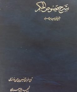 شرح فصوص الحکم | تاج الدین حسین بن حسن خوارزمی
