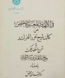 شرح غررالفراید سبزواری | مهدی محقق