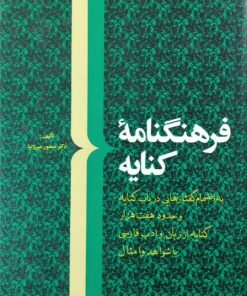 فرهنگنامه کنایه | منصور میرزانیا
