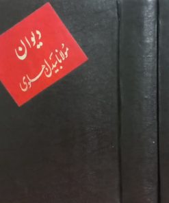دیوان مولانا بیدل دهلوی