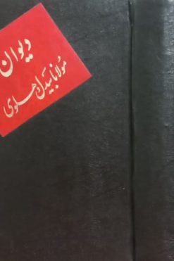 دیوان مولانا بیدل دهلوی