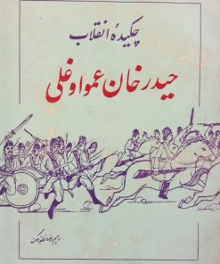 چکیده انقلاب حیدرخان عمواوغلی | رحیم رضازاده ملک