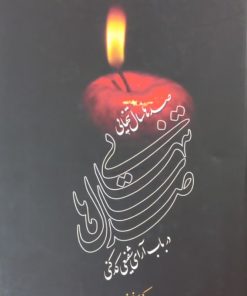 صدها سال تنهایی در باب آرای شفیعی کدکنی