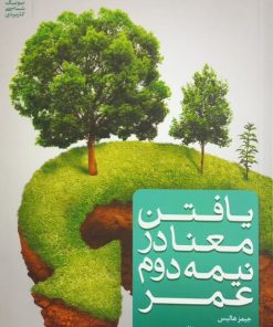 یافتن معنا در نیمه دوم عمر | جیمز هالیس