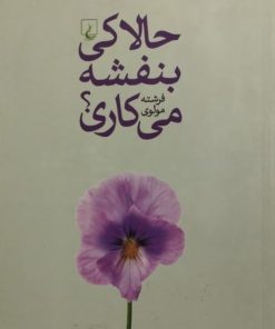 حالا کی بنفشه می کاری؟ | فرشته مولوی