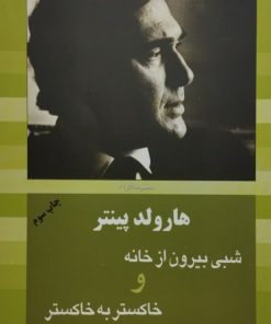 شبی بیرون از خانه و خاکستر به خاکستر | هارولد پینتر