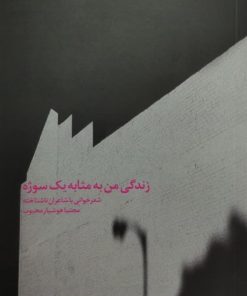 زندگی من به مثابه یک سوژه | مجتبا هوشیار محبوب