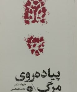قاتل آجری | هارولد شکتر