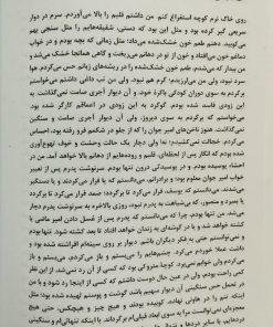 روزگار دوزخی آقای ایاز | رضا برآهنی