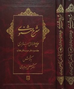شرح مثنوی(ناقص|جلد 1و 2)