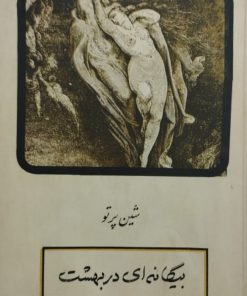 بیگانه ای در بهشت
