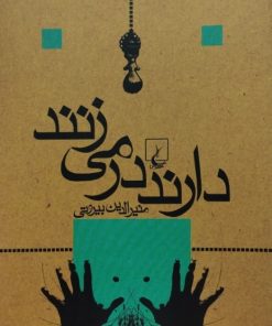 دارند در می زنند | منیرالدین بیروتی