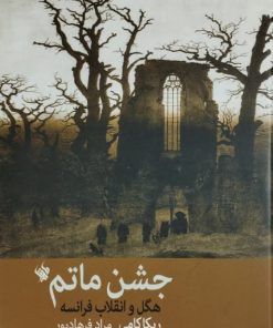جشن ماتم؛ هگل و انقلاب فرانسه | ربکا کامی