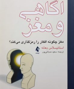 آگاهی و مغز؛ مغز چگونه افکار را رمزگذاری می کند؟