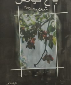 باغ گیلاس؛ شعر معاصر چین