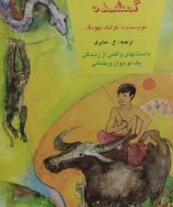سرزمین گمشده | کوانگ نهونگ