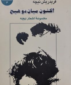 اکنون میان دو هیچ | فریدریش نیچه