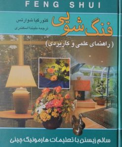 فنگ شویی | گئورگیا شوارتس