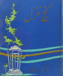 گنج غزل | مهدی سهیلی