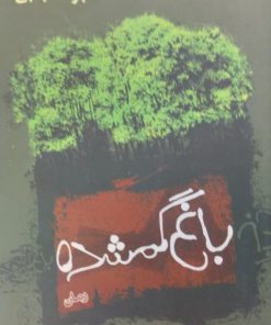 باغ گمشده | جواد مجابی