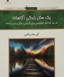 یک سال زندگی آگاهانه | گی هندریکس