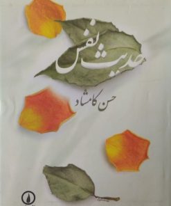 حدیث نفس | حسن کامشاد